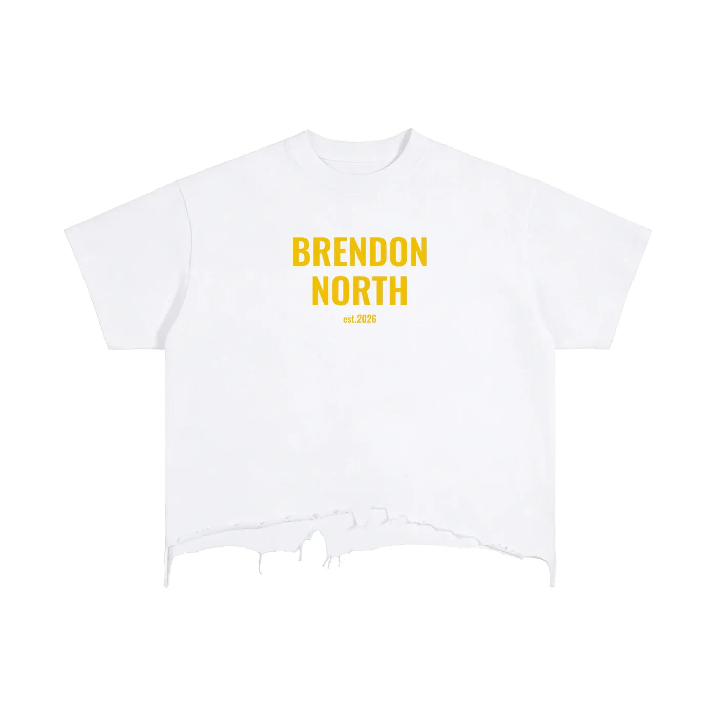 Vintage Wash Boxy Distressed Hem T-Shirt - Brendon North